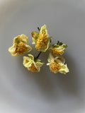 L'infusion : Fleurs de théiers